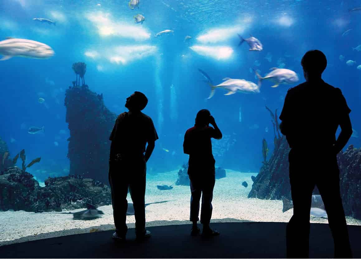 Travelling with children Europes second largest Oceanarium iStock - photo 10