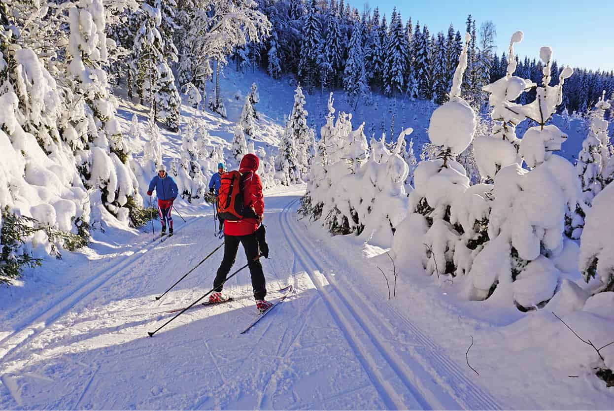 Top Attraction 9 VISITOSLOTord Baklund Marka Walk hike cycle paddle or ski - photo 12