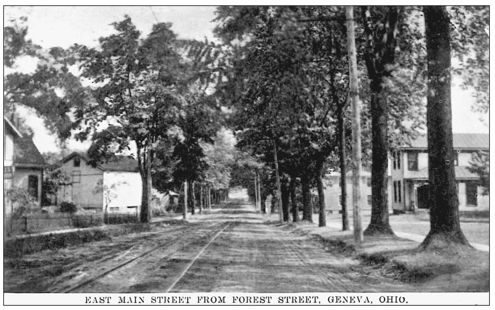 EAST MAIN STREET FROM FOREST STREET 1910 In 1868 the trees were set along - photo 12