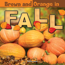 Bonnie Carole - Brown and Orange in Fall