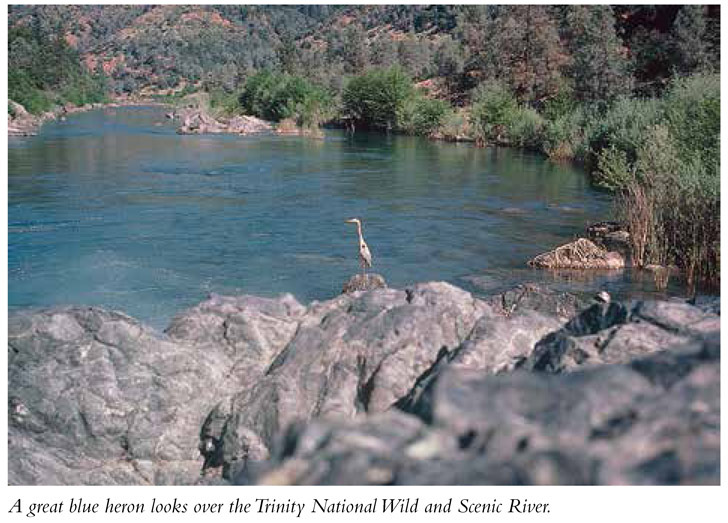 Appendix A Flows Tides Waves and Storms National Weather Service Forecasts - photo 3