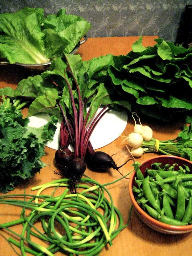 This platter of spring produce and garlic scape herb butter is about as perfect - photo 11