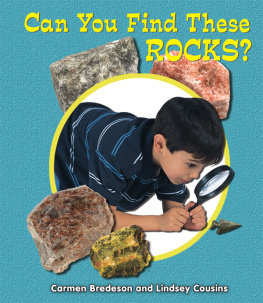 Carmen Bredeson - Can You Find These Rocks?