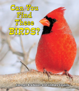 Carmen Bredeson - Can You Find These Birds?