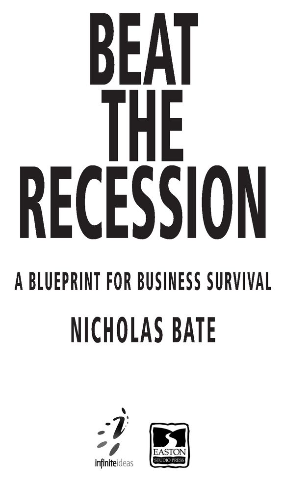 Beat the Recession A Blueprint for Business Survival - image 2