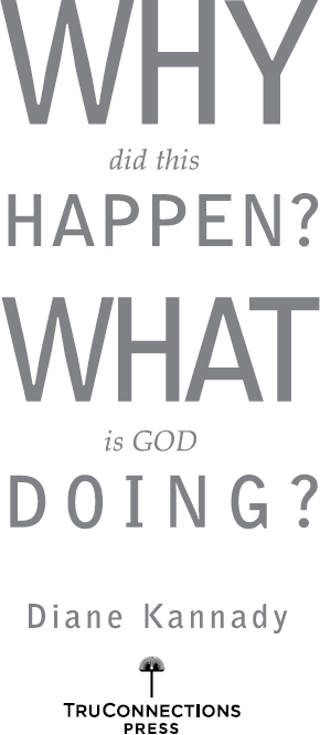 Why Did This Happen What Is God Doing Copyright 2015 by Diane Kannady Cover - photo 1