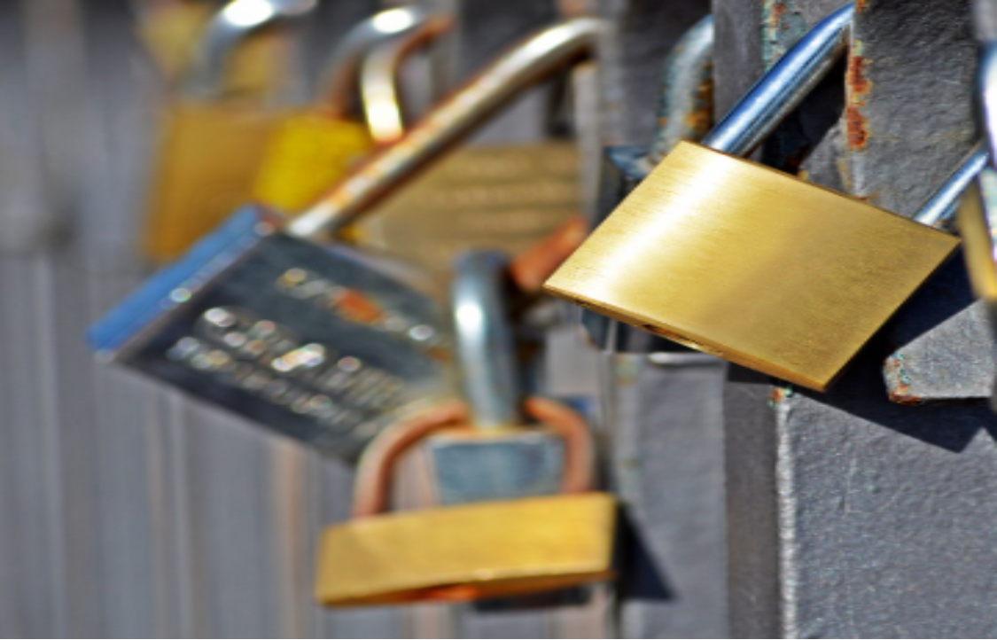 The flat key locks and the paracentric pinned locks are the most common locks - photo 1