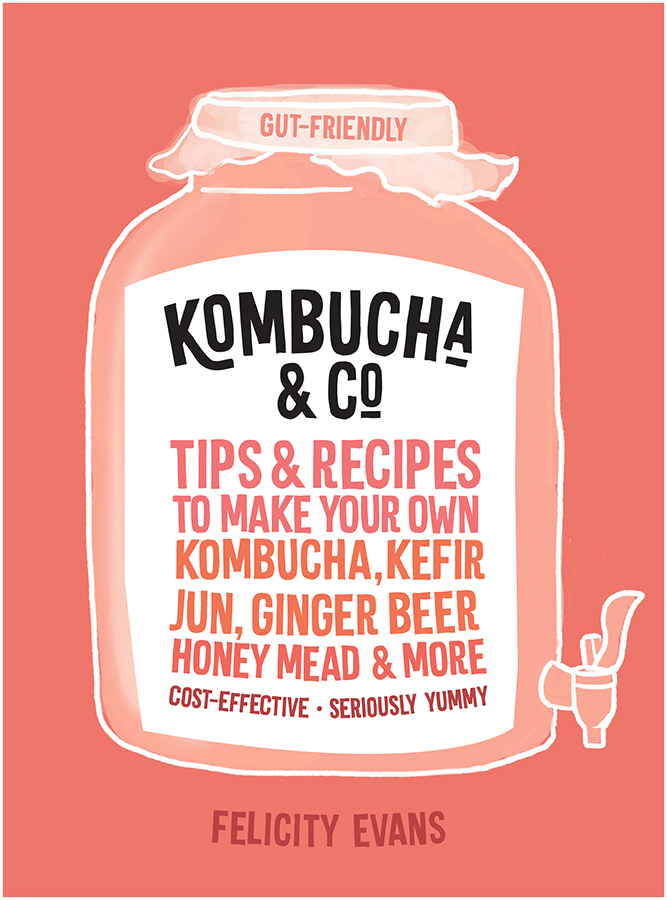 Transform your health with fermented probiotic drinks Kombucha and other - photo 1