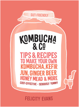 Felicity Evans Kombucha & Co: Tips and recipes to make your own kombucha, kefir, jun, ginger beer, honey mead and more by Felicity Evans