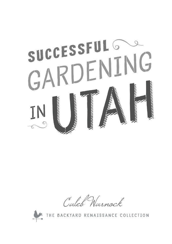 Successful Gardening in Utah How to Design a Permanent Solution for your Garden that is Low Water and 95 Percent Weed Free - image 1