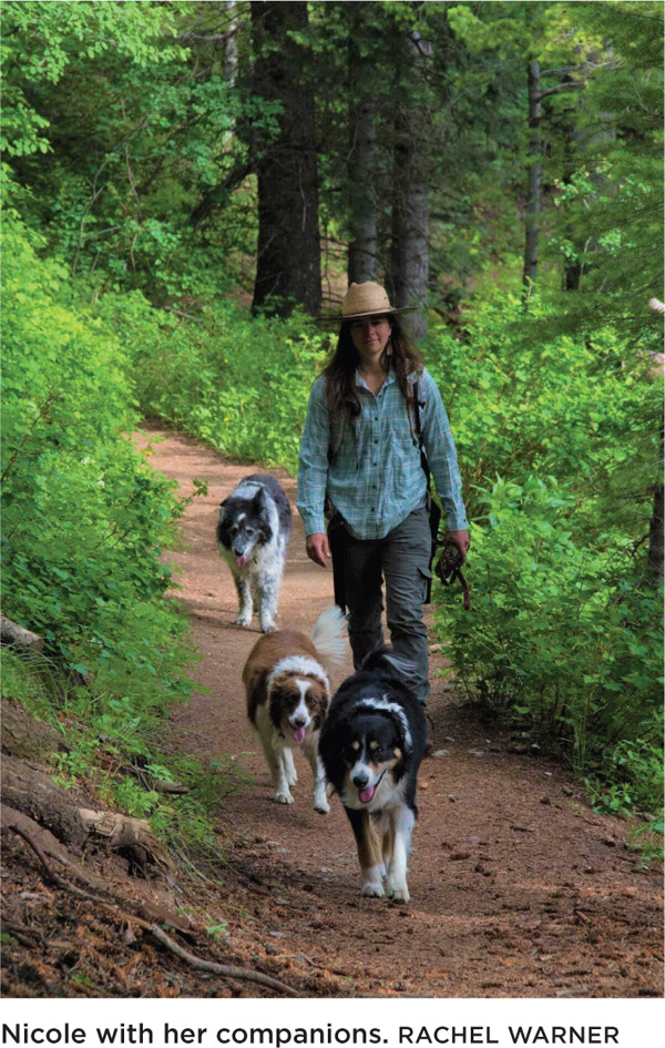 In writing this book Wren and Martin the border collies and I worked - photo 5