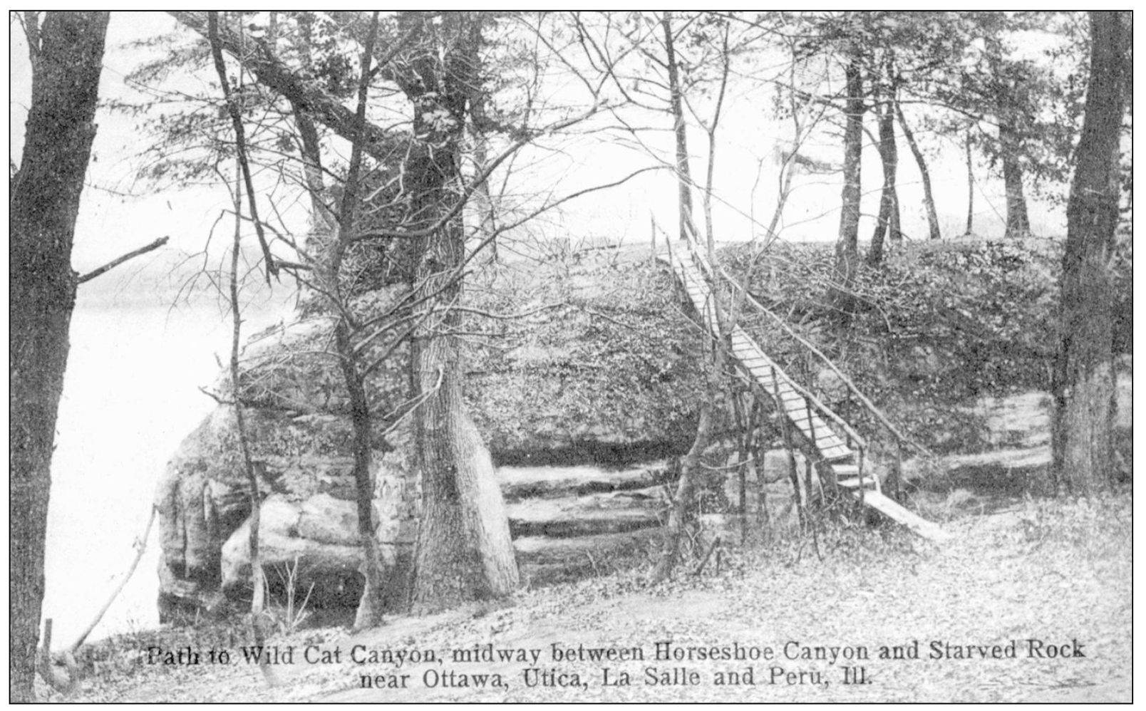 This lookout from Wild Cat Canyon featured a view of the Illinois River - photo 9