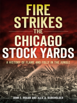 John F Hogan - A Fire Strikes the Chicago Stock Yards: A History of Flame and Folly in the Jungle