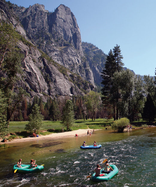 Image Credit Shutterstock Roosevelt helped create Yosemite National Park Many - photo 9