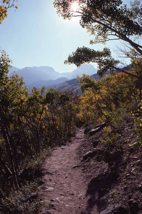 The Bierstadt Lake Trail climbs amid quaking aspens in fall below silhouettes - photo 5