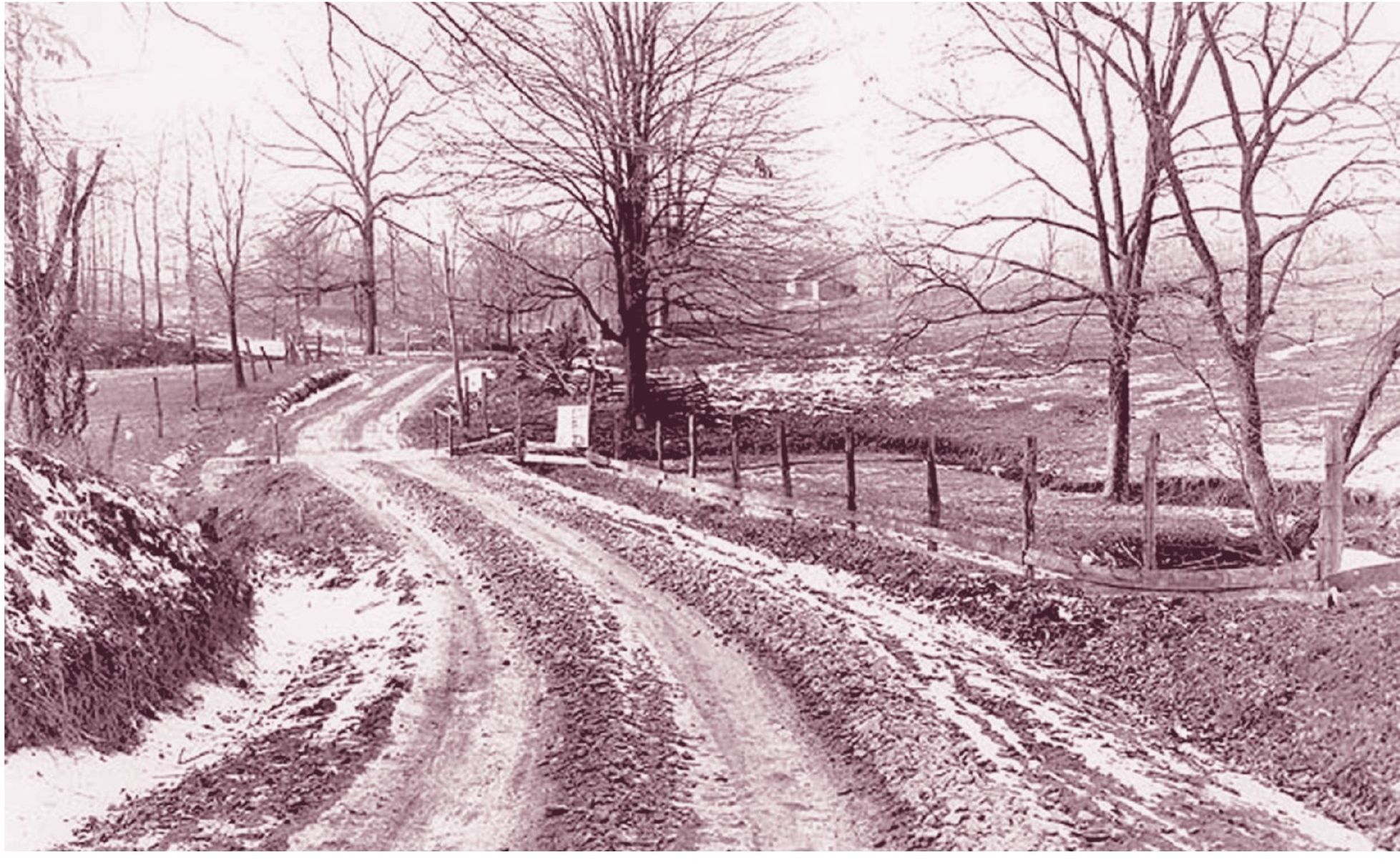 PRICE PIKE Price Pike in Florence was a dirt road as seen in this photograph - photo 6