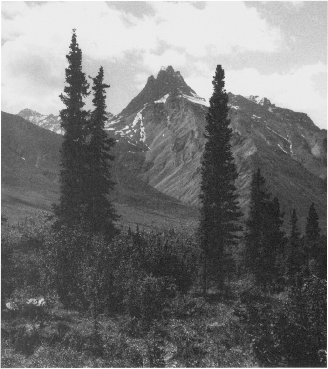 Bob Marshalls Matterhorn of the Koyukuk He termed it a towering black - photo 10