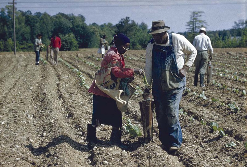 John Lewis grew up poor living on a farm like this one in Alabama As a child - photo 4