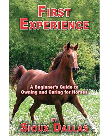 First Experience A Beginners Guide to Owning and Caring for Horses by - photo 1