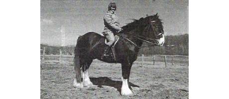 I am mounted on a three-year-old Shire stallion which I helped to train His - photo 4