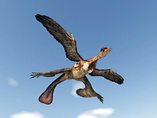 Microraptor Michael Rosskothen - Fotoliacom 2 Facts about Dinosaurs Have - photo 3