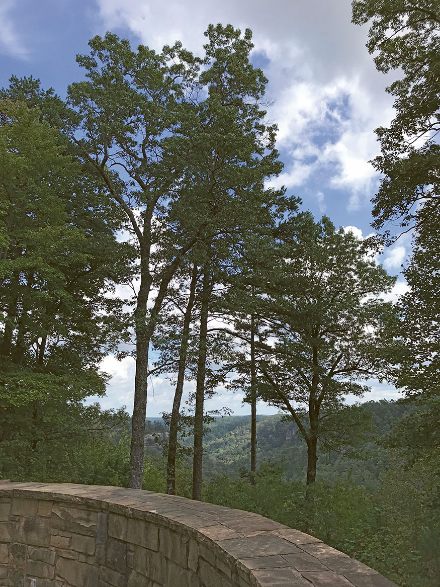 VIEW FROM TUNNEL RIDGE ROAD Contents Acknowledgments I AM GRATEFUL - photo 4