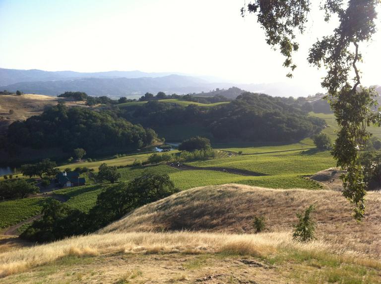 Alden Park Vineyards Where we tied the knot Duration of Engagement For me - photo 4