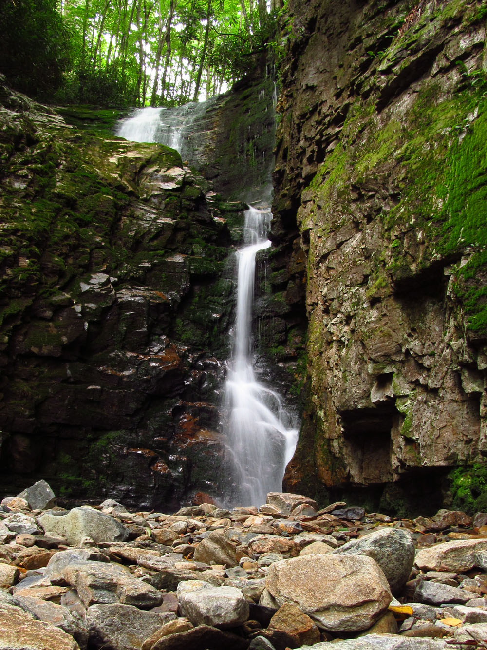 Hikes also examine the fascinating flora of our region Walk through the - photo 5