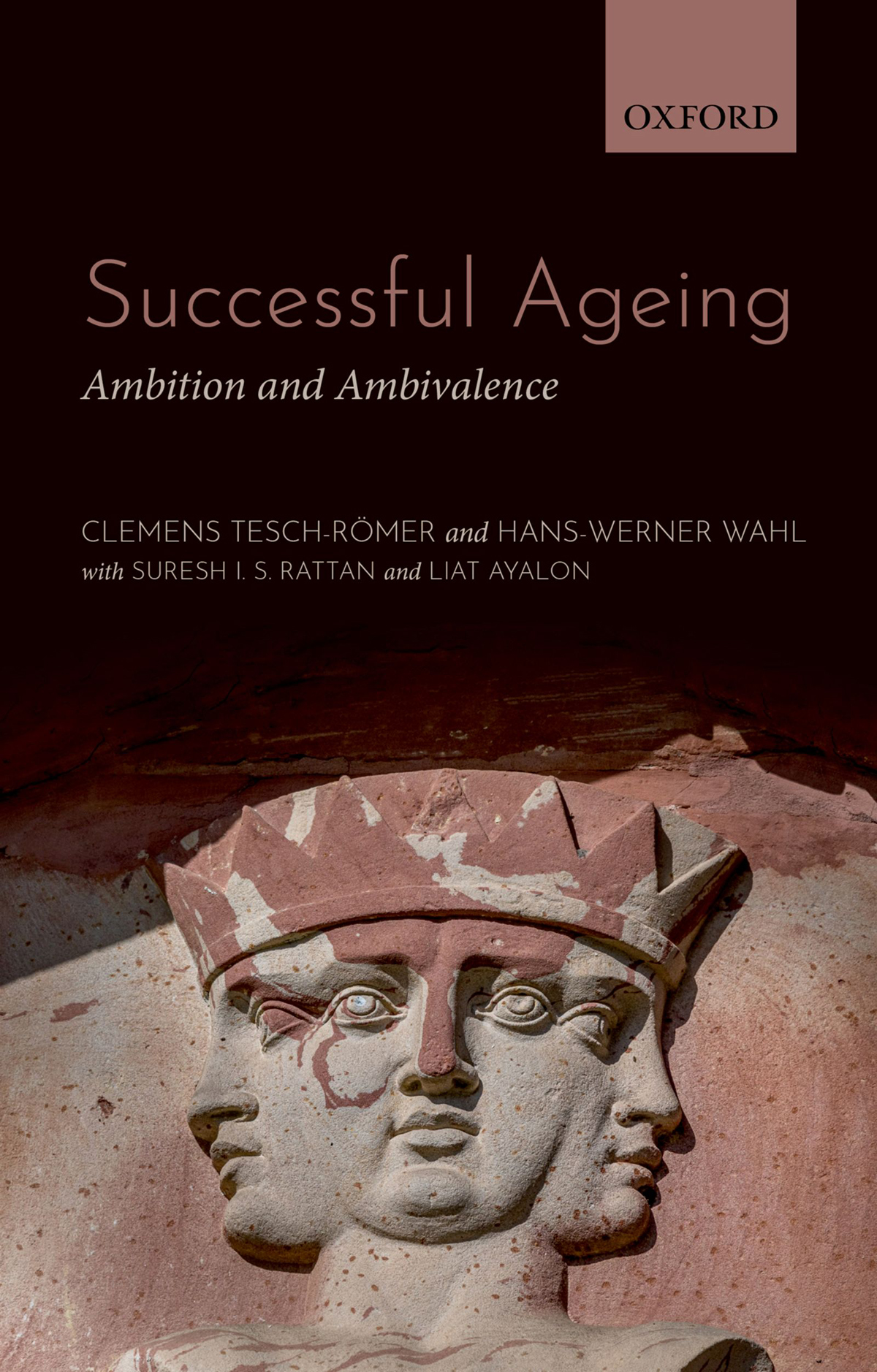 Successful Ageing Ambition and Ambivalence - image 1