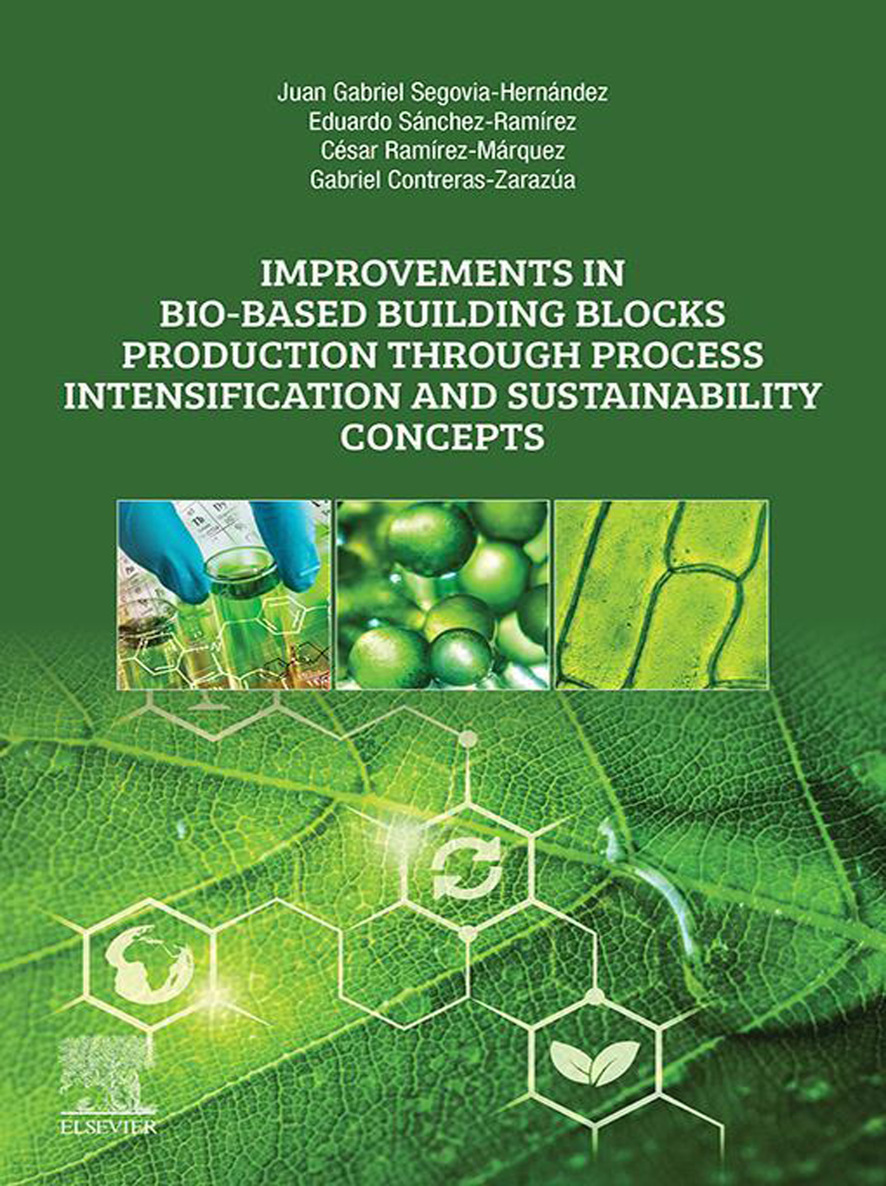 Improvements in Bio-Based Building Blocks Production Through Process - photo 6