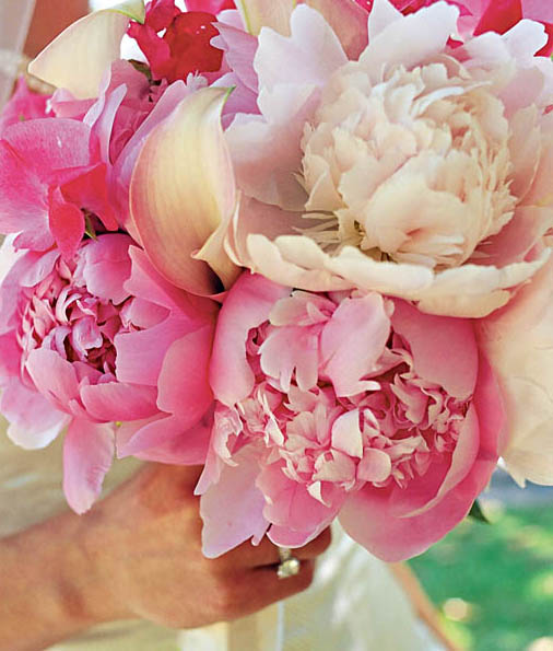 A bride shows off her bouquet of pink peonies miniature calla lilies and - photo 3