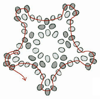 Figure 3 Step 5 String 5 seed beads and pass through the next three beads - photo 5