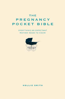 Hollie Smith The Pregnancy Pocket Bible: Everything an expectant mother needs to know