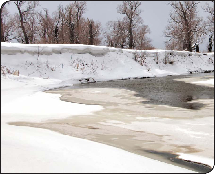 When snow melts after a hard winter so much water rushes into streams and - photo 7