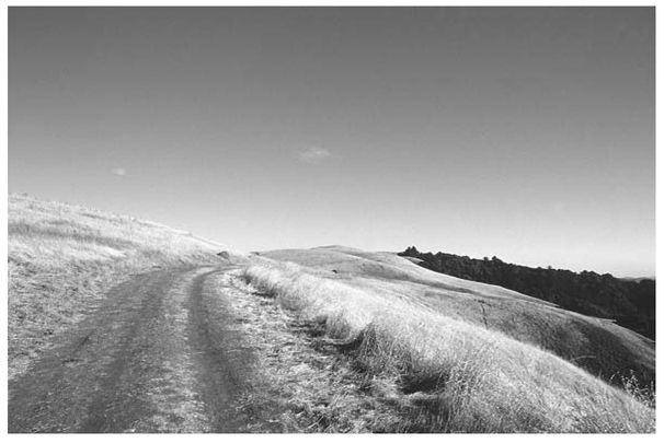 INTRODUCTION A trail run is at once an athletic and a sensory experience you - photo 5