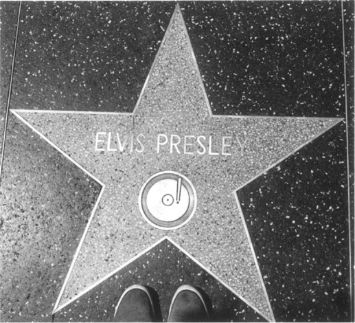 Elvis Is Everywhere - photo 11