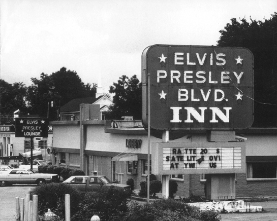 Elvis Is Everywhere - photo 13