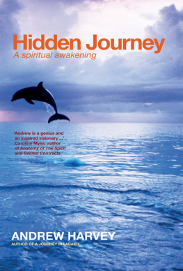 Andrew Harvey Hidden Journey: A Spiritual Awakening