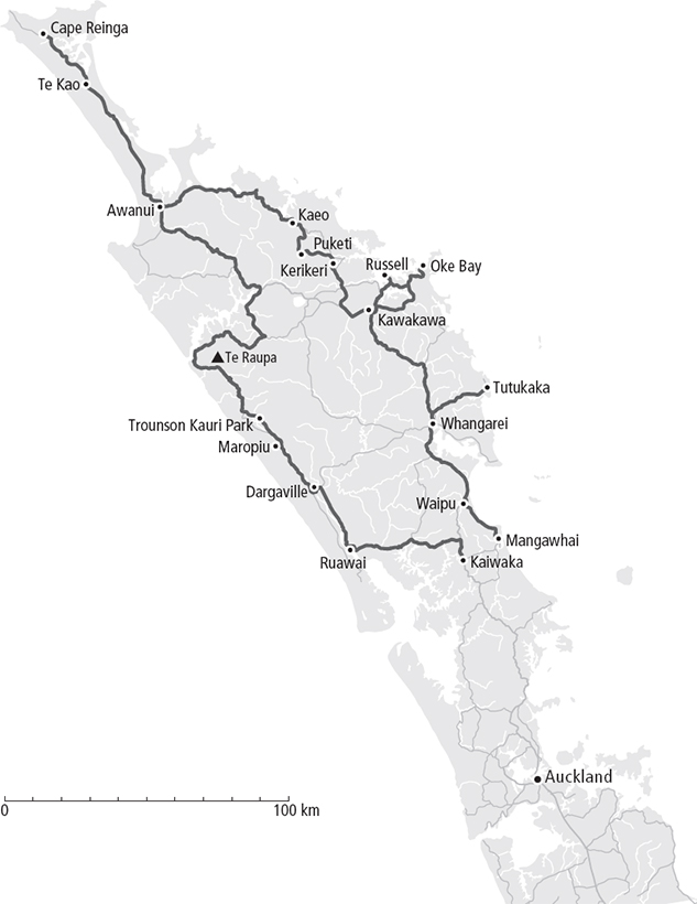 CHAPTER 1 NorthlandTe Tai Tokerau T he long narrow peninsula extending nearly - photo 4