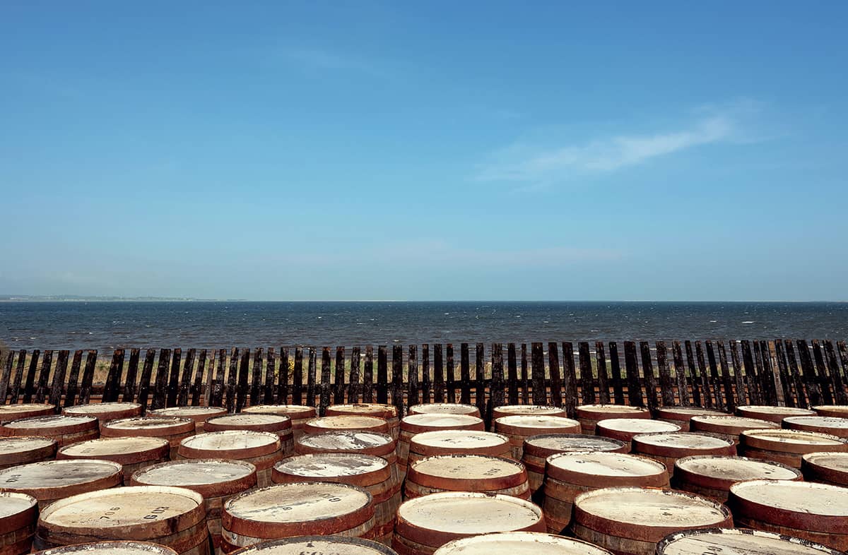 Across the world hundreds of thousands of casks are being filled with whisky - photo 3