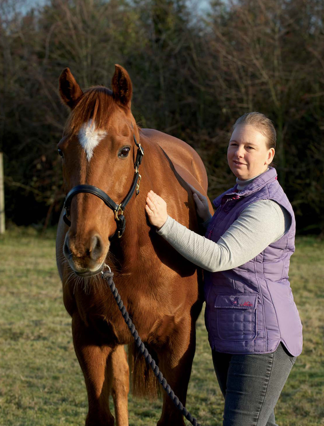 HORSE MASSAGE FOR HORSE OWNERS Improve Your Horses Health and Wellbeing SUE - photo 2