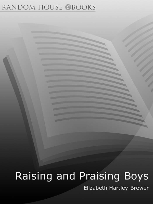 Raising and Praising Boys - image 1