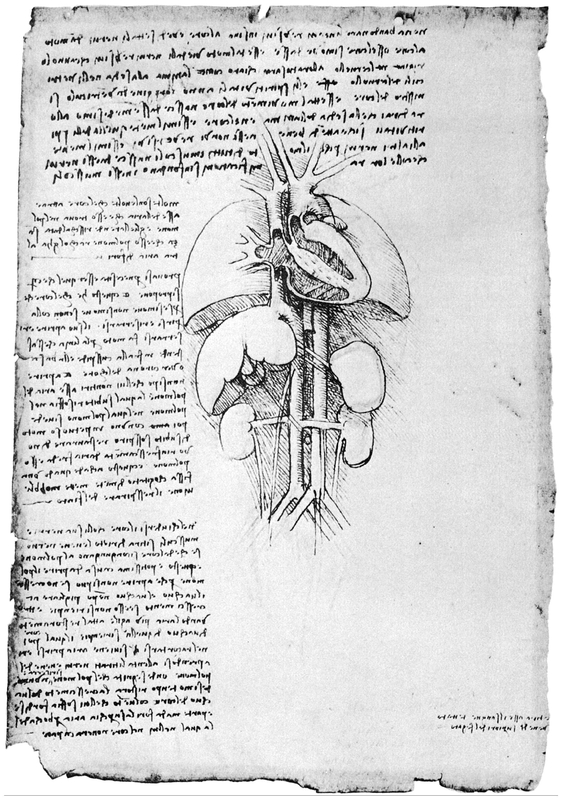 28 VENTRICLES OF THE HEART 29 VENTRICLES OF THE HEART 30 - photo 29