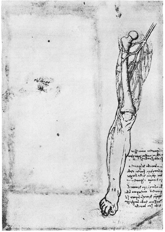 34 CARDIOVASCULAR SYSTEM 35 CENTRAL NERVOUS SYSTEM AND CRANIAL NERVES - photo 35