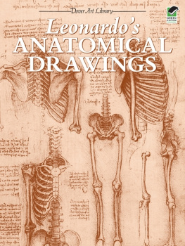 Leonardo da Vinci - Leonardos Anatomical Drawings