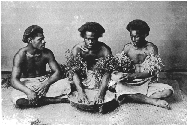 Figure 12 Nineteenth-century studio photograph of kava preparation Fiji - photo 5