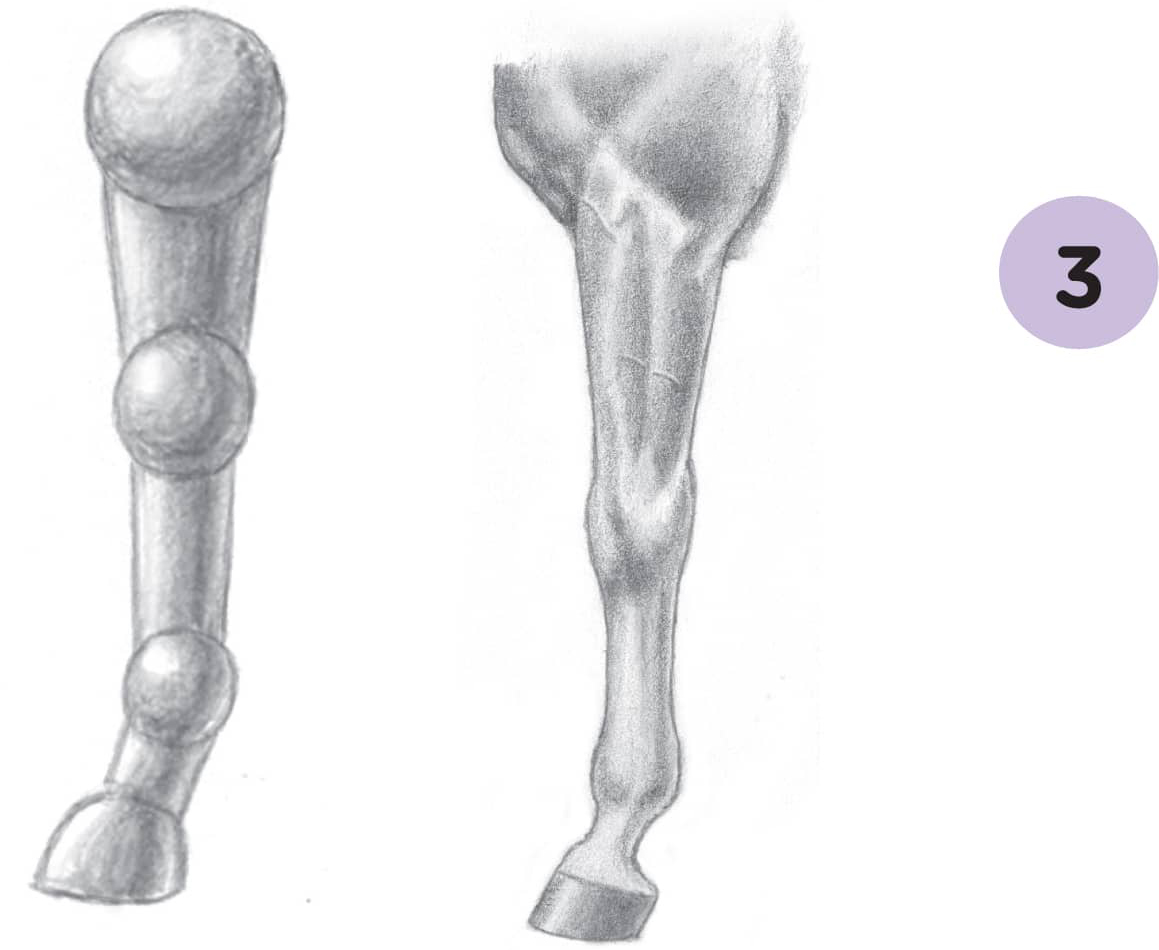 Practice with more complex objects Once youre comfortable shading simple - photo 16