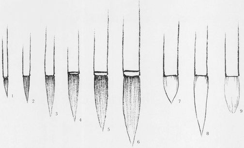 Various brushes Parts of the brush Accessories Fig 3 which are - photo 4