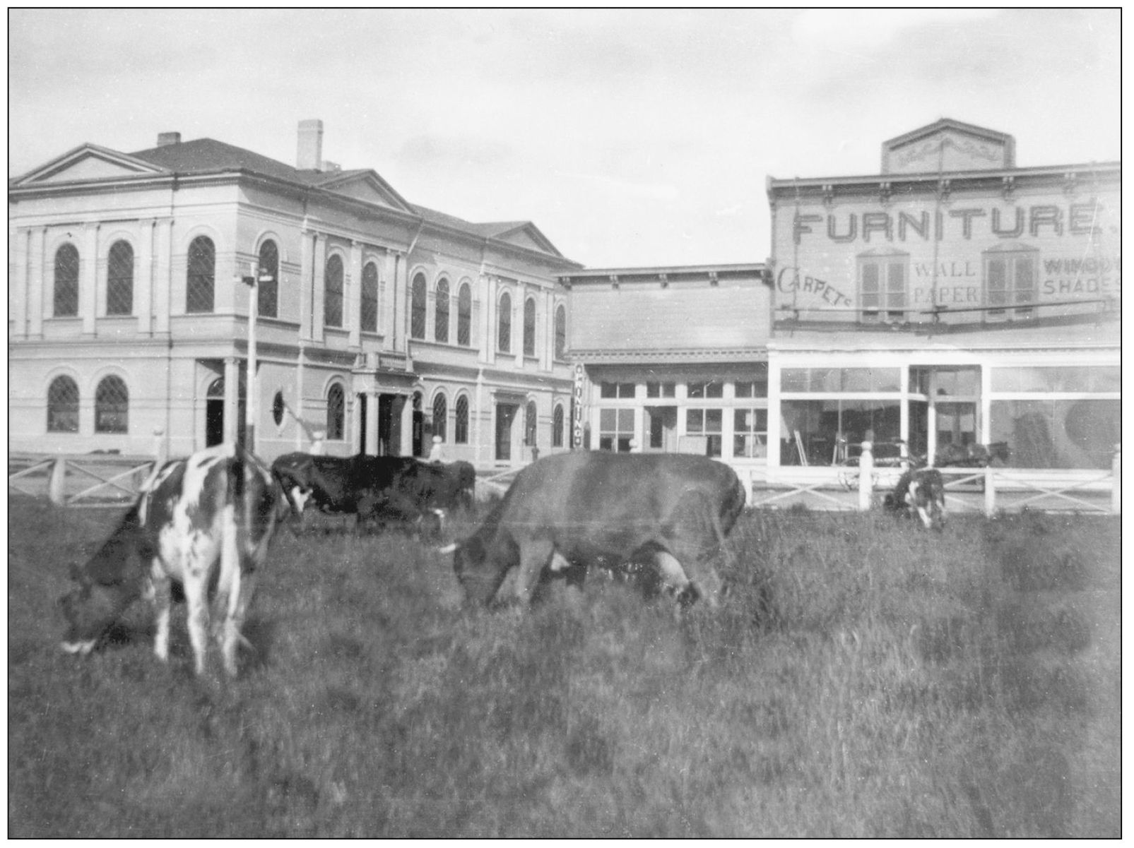 The Plaza Improvement Committee banned cows from the plaza after the bandstand - photo 4