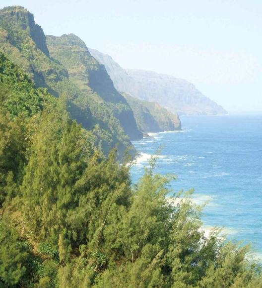 The Na Pali Coast On Mauis road to Hana ACKNOWLEDGMENTS M any mahalos - photo 4